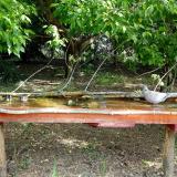 photo 2021-05-12 09-27-22