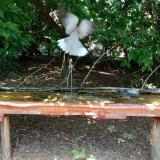 photo 2021-08-04 13-13-38