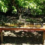 photo 2021-05-10 10-15-28