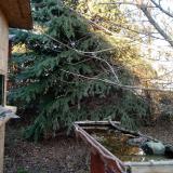 photo 2021-12-13 14-35-47