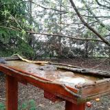 photo 2022-03-31 11-32-59