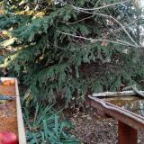 photo 2021-11-12 15-09-50