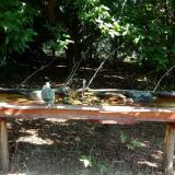 photo 2021-07-21 09-51-39