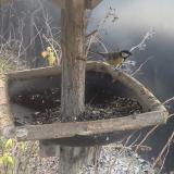 photo 2019-12-29 12-12-30