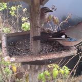 photo 2019-12-12 12-18-26