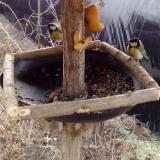 photo 2019-02-08 09-39-08