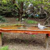 photo 2021-04-19 12-53-51