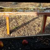 photo 2021-11-03 14-35-42