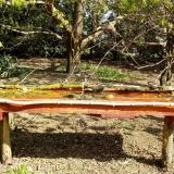 photo 2021-04-12 09-49-08