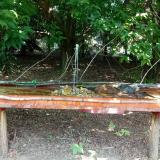 photo 2021-07-20 12-40-58