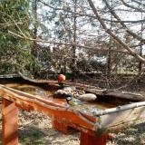 photo 2022-03-26 08-57-58