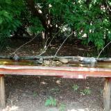 photo 2021-07-26 13-32-43