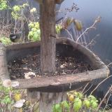 photo 2019-12-09 14-41-37