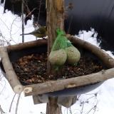 photo 2019-01-10 10-43-52