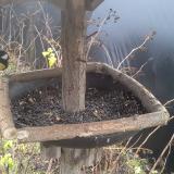 photo 2019-12-25 10-02-34