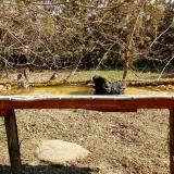 photo 2021-03-11 10-35-44