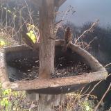 photo 2019-12-23 10-09-33