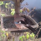 photo 2019-12-12 12-01-39