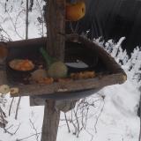 photo 2019-01-24 10-24-46