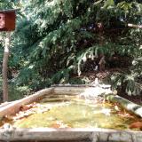 photo 2023-10-04 14-59-26