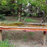 photo 2021-04-28 10-33-08