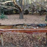 photo 2021-10-26 08-09-46