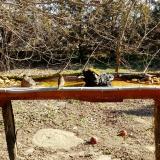 photo 2021-03-13 09-23-32