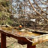 photo 2022-03-19 12-43-37