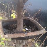 photo 2019-12-23 10-01-34