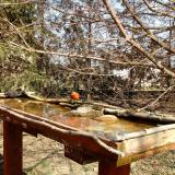 photo 2022-03-19 12-44-10