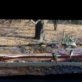 photo 2021-11-11 13-30-45