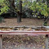 photo 2021-10-13 16-39-53