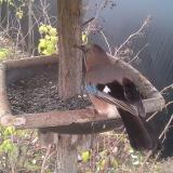 photo 2019-12-19 08-21-51