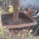 photo 2019-12-19 09-39-14