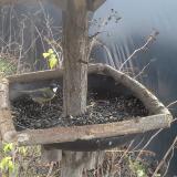 photo 2019-12-25 11-19-49