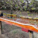 photo 2021-04-08 16-36-16