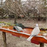 photo 2021-03-22 14-08-29