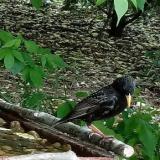 photo 2021-05-15 13-54-50 seregely