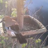 photo 2019-12-17 08-48-41