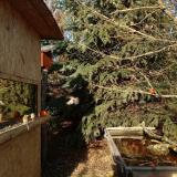 photo 2021-12-31 13-33-34