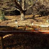 photo 2021-10-25 14-33-23