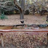 photo 2021-10-26 07-54-15