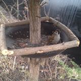 photo 2019-02-22 13-45-28