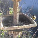 photo 2019-12-20 13-39-06