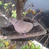 photo 2019-12-02 09-57-37