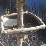 photo 2019-03-04 14-34-54