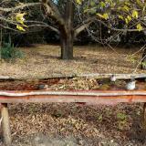 photo 2021-10-22 09-30-10