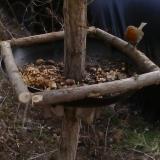 photo 2019-01-04 12-15-00