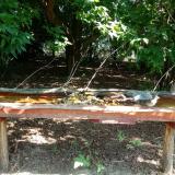 photo 2021-07-23 09-56-47