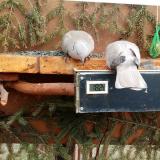 photo 2021-03-04 12-43-07